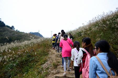 长路漫漫